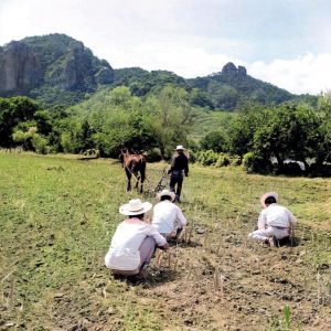 tepoztlan antiguo